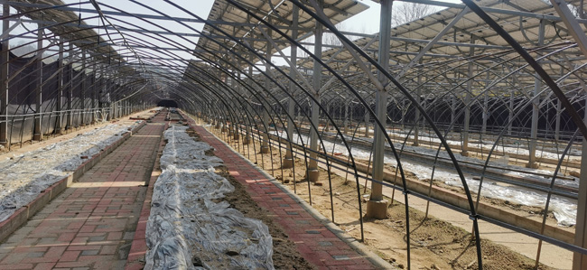 14，飛機(jī)場(chǎng)種植基地大棚.jpg
