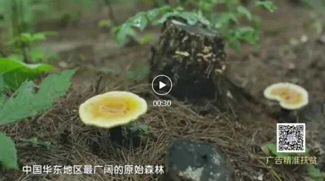 QQ截圖20220307110436.jpg